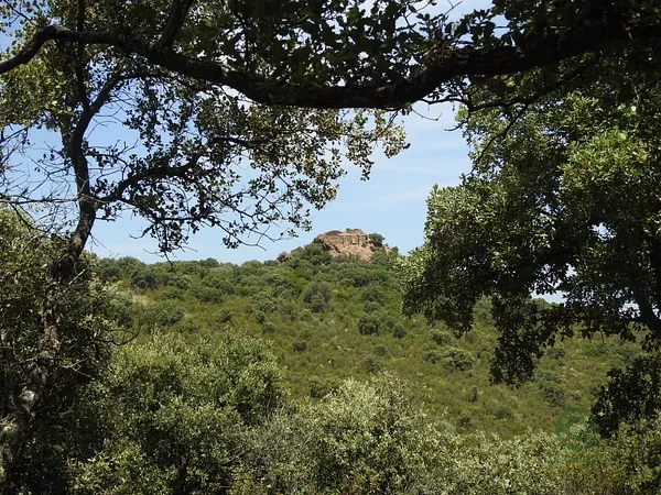 Spot image