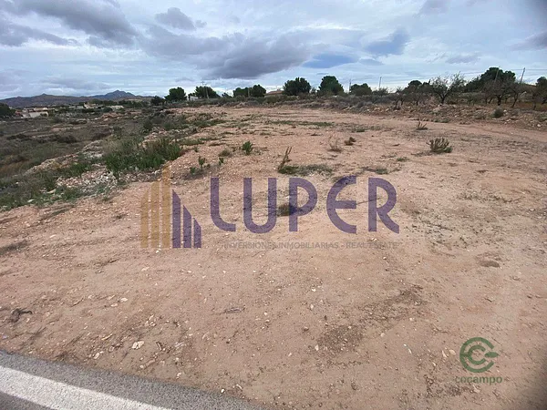 Spot image