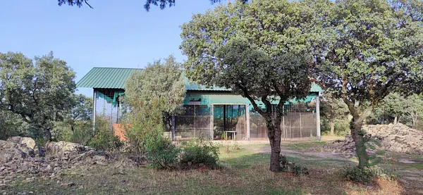 Spot image