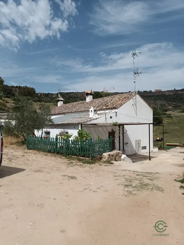 Spot image