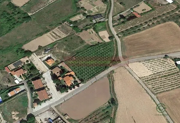 Spot image