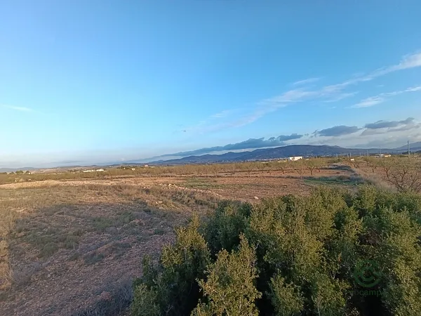 Spot image