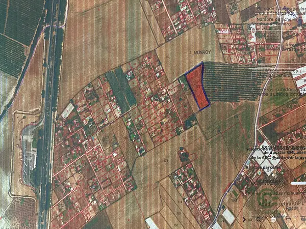 Spot image