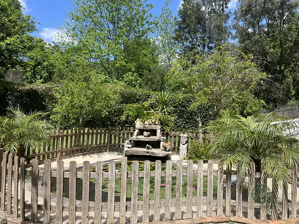 Spot image