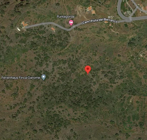 Spot image