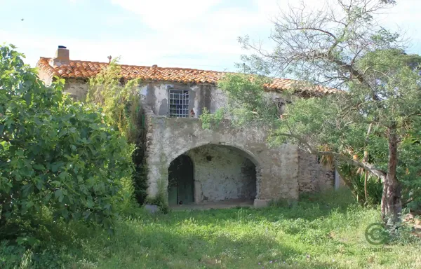 Spot image