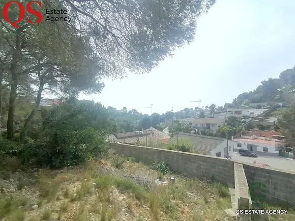 Spot image