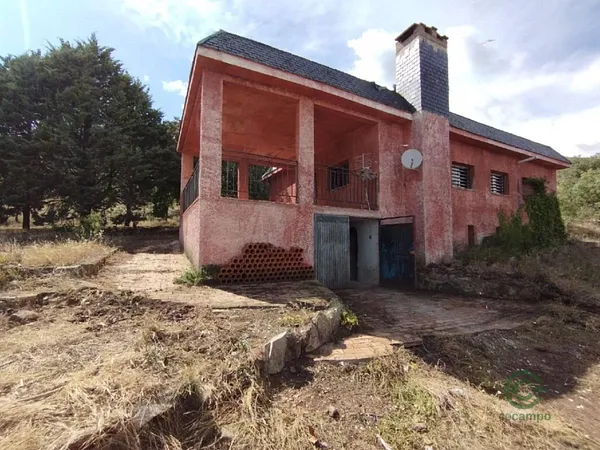 Spot image