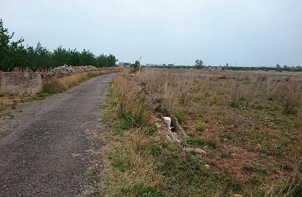 Spot image