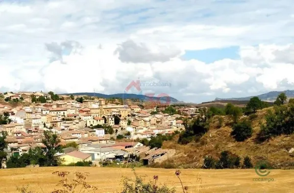 Spot image