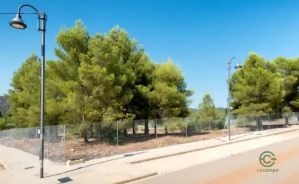 Spot image