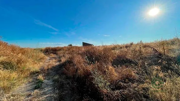 Spot image