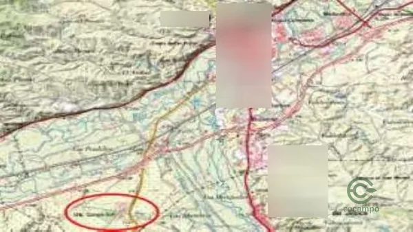 Spot image