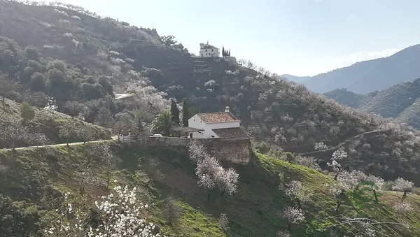 Spot image