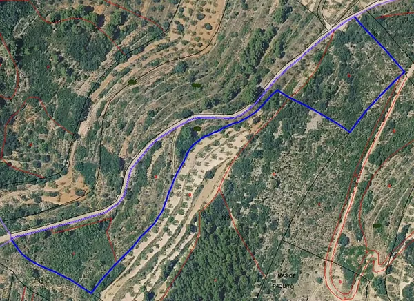 Spot image