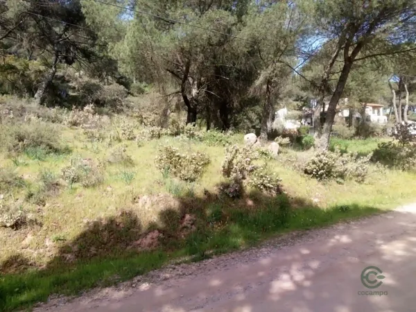Spot image