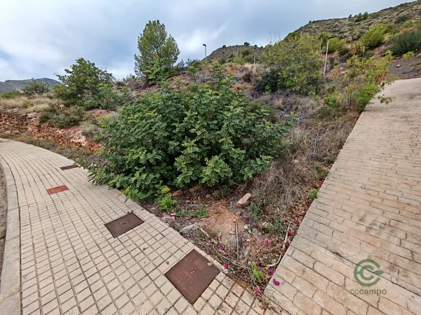 Spot image
