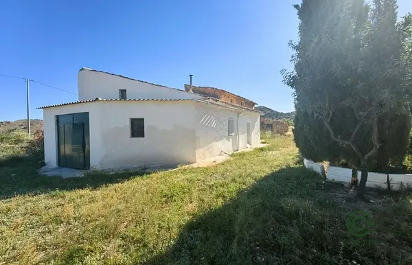 Spot image