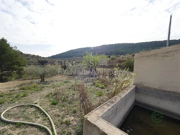 Spot image