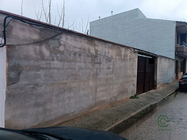 Spot image