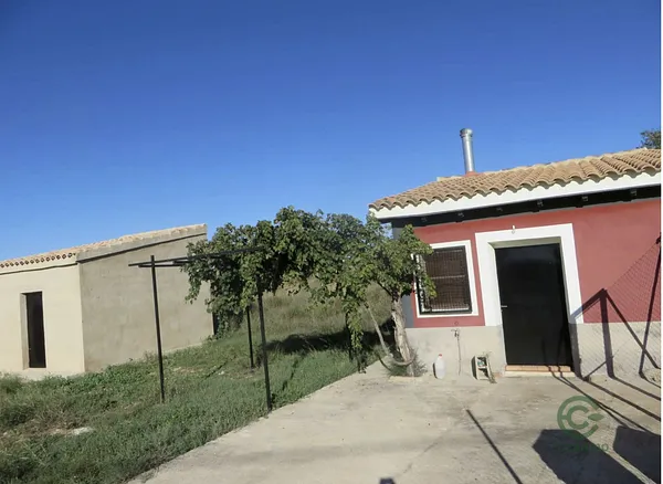 Spot image