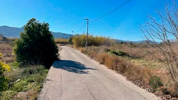 Spot image