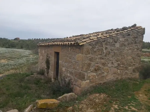 Spot image