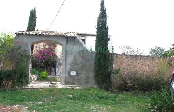 Spot image