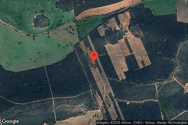 Spot image
