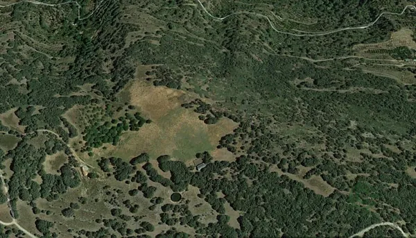 Spot image