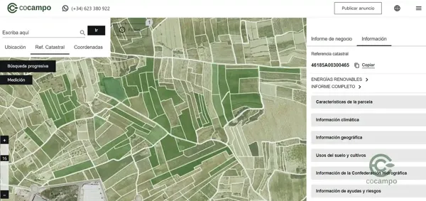 Spot image