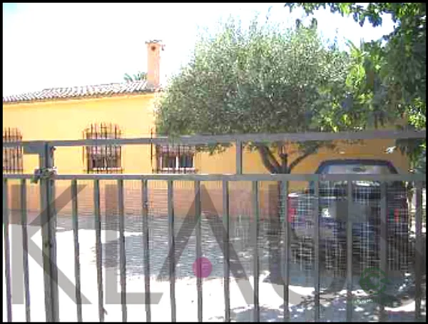 Spot image