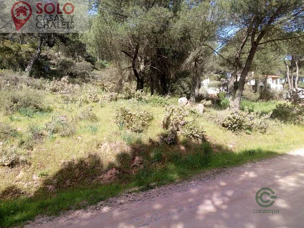 Spot image