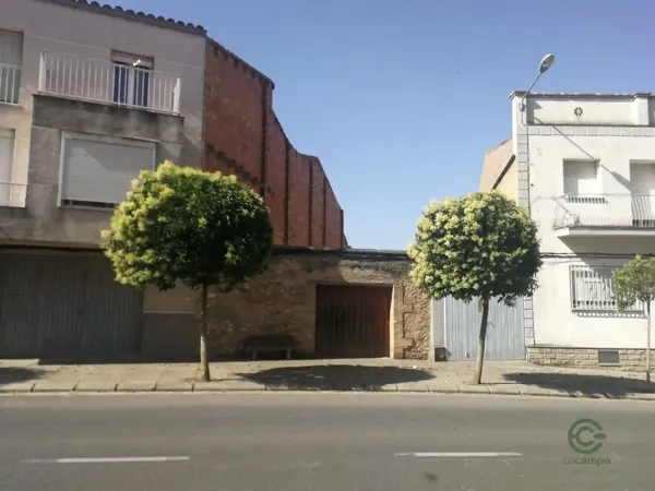 Spot image