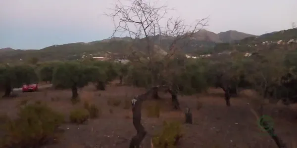 Spot image