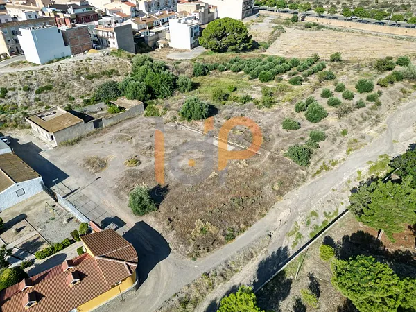 Spot image