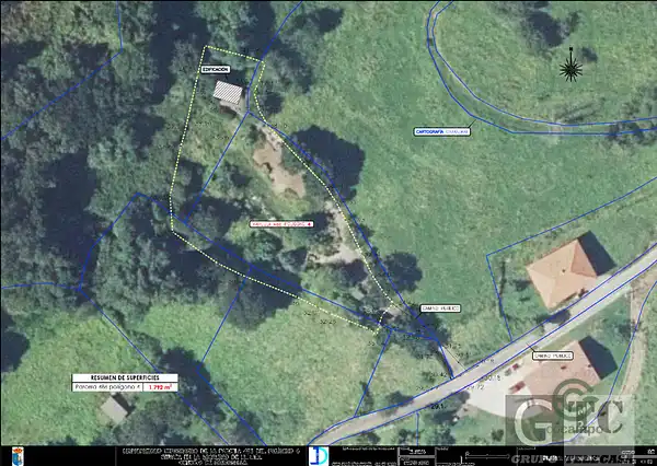 Spot image