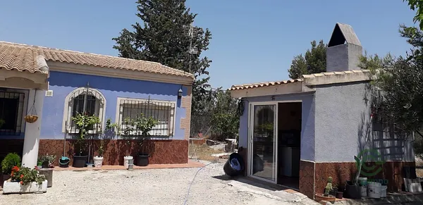 Spot image