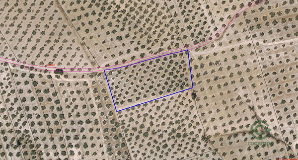 Spot image