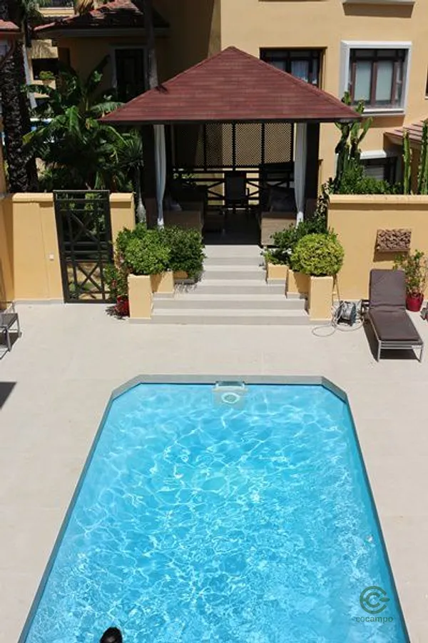 Spot image