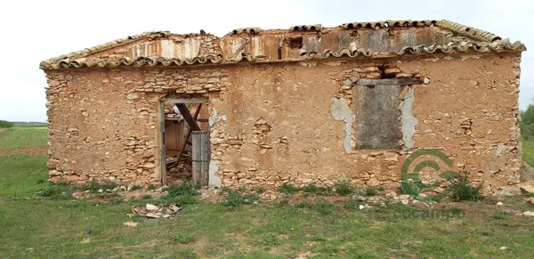 Spot image