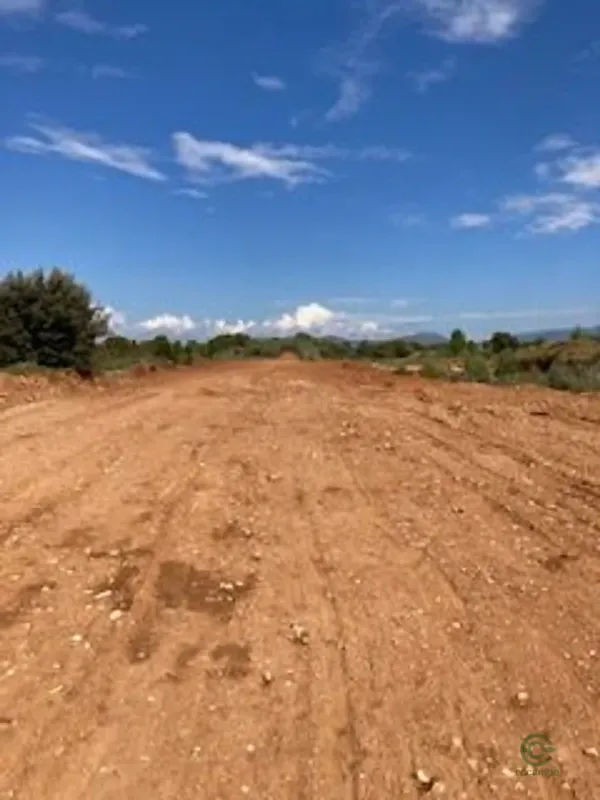 Spot image