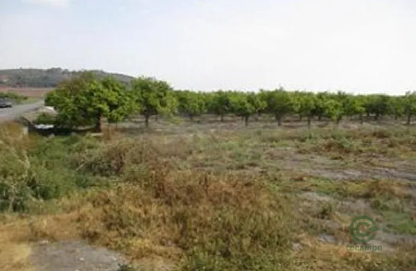 Spot image