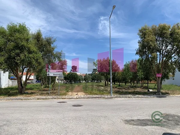 Spot image