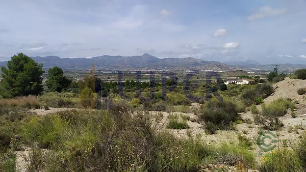 Spot image