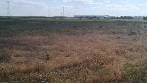 Spot image