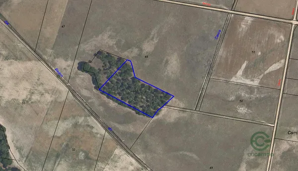 Spot image