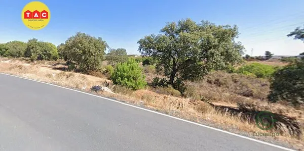 Spot image