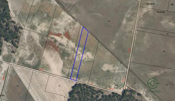 Spot image