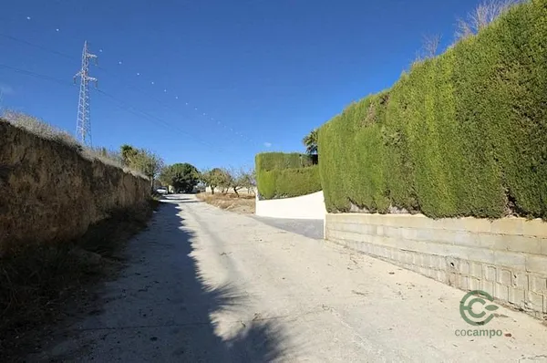 Spot image